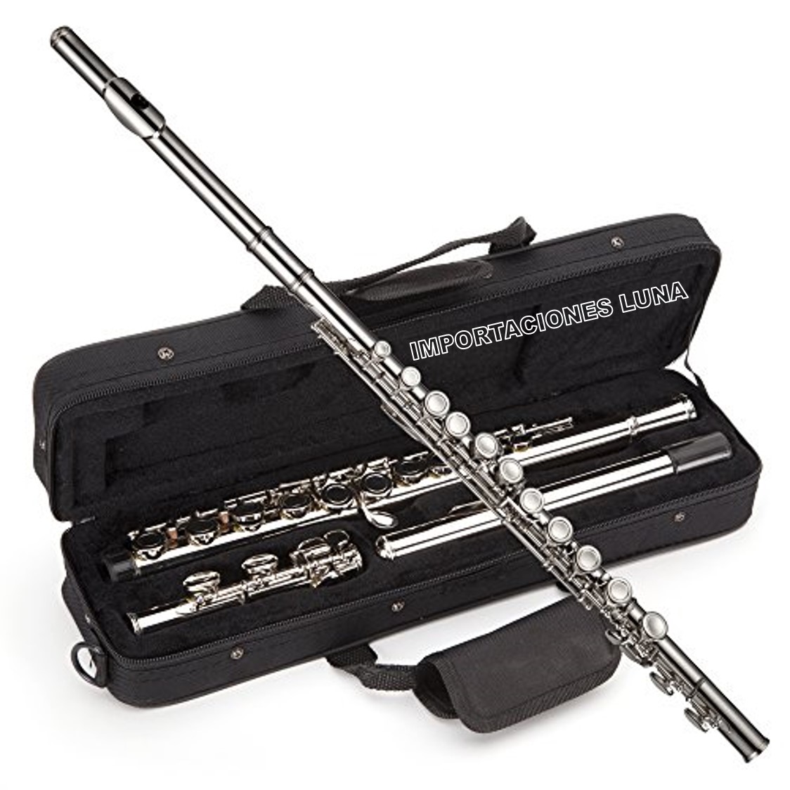 Instrumento favorito flauta